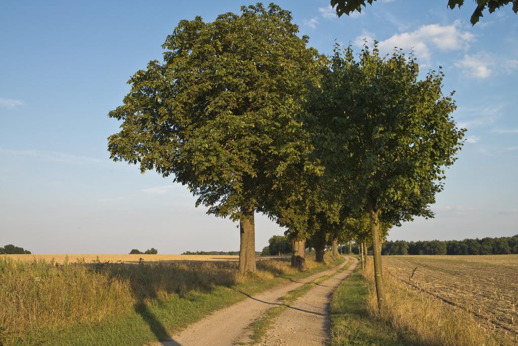 Romantik Hotel Gutshaus Ludorf エクステリア 写真